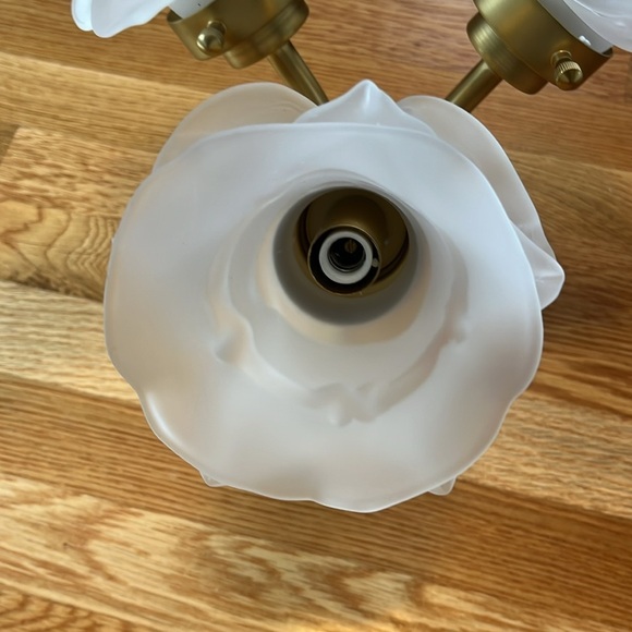 Anthropologie Blossom Flush Mount Light NEW - Picture 13 of 16